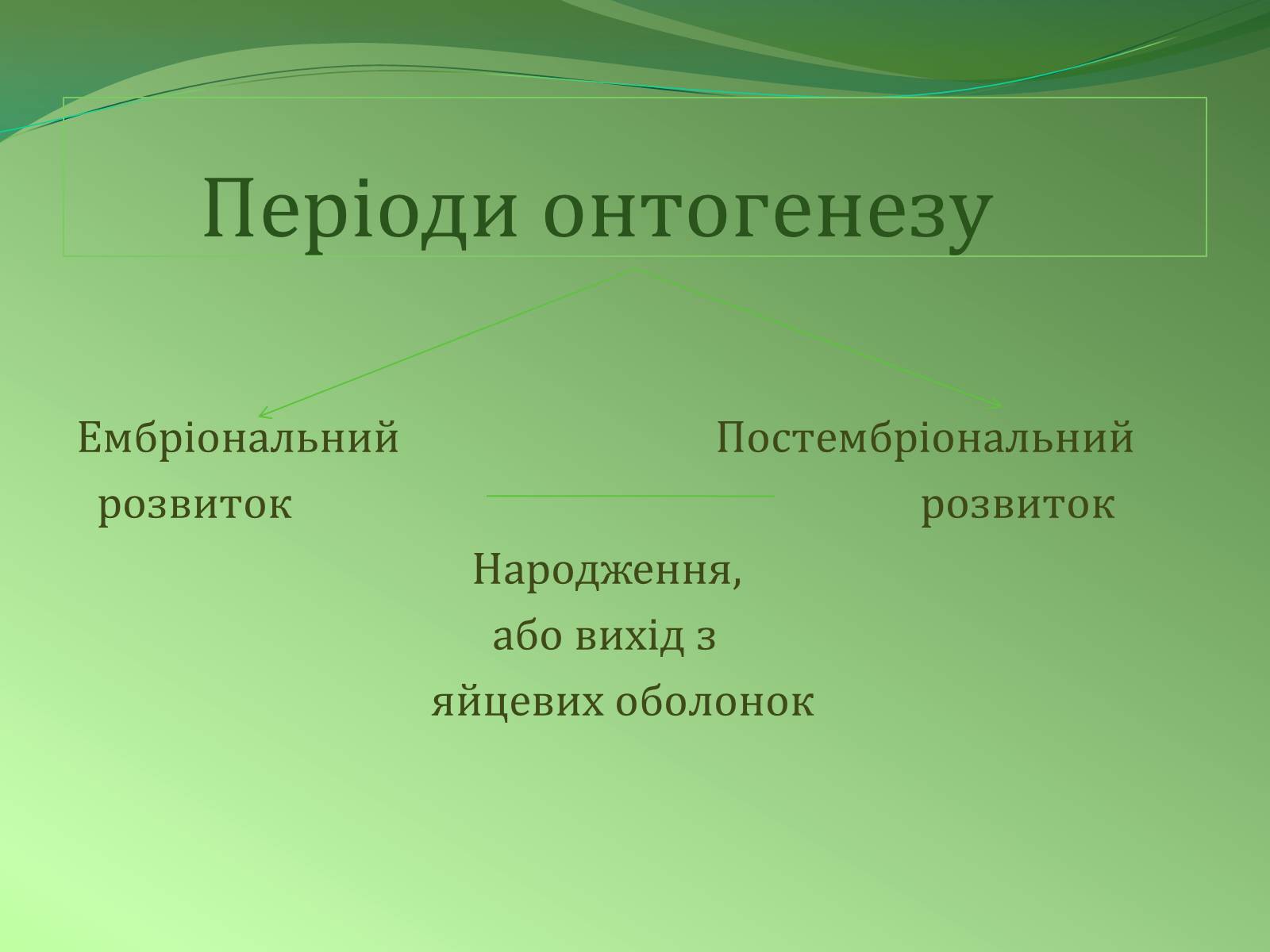Презентація на тему «Етапи індивідуального розвитку організмів» - Слайд #6 Презентація на тему «Етапи індивідуального розвитку організмів» - Слайд #6