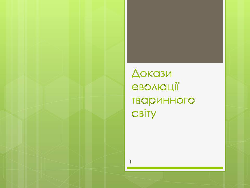 Презентація на тему «Докази еволюції тваринного світу» - Слайд #1 Презентація на тему «Докази еволюції тваринного світу» - Слайд #1