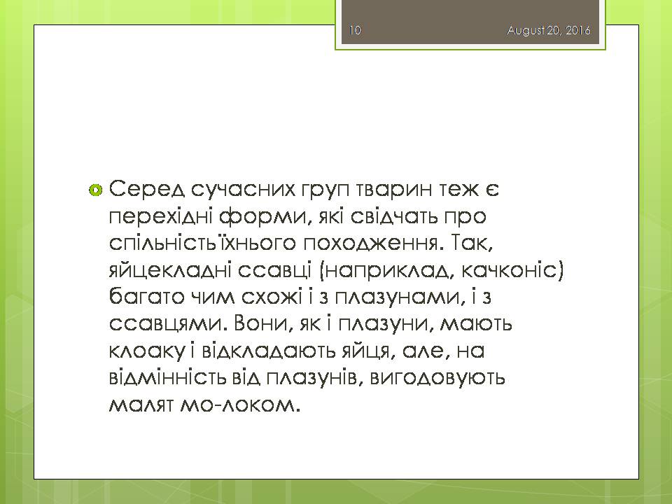 Презентація на тему «Докази еволюції тваринного світу» - Слайд #10 Презентація на тему «Докази еволюції тваринного світу» - Слайд #10