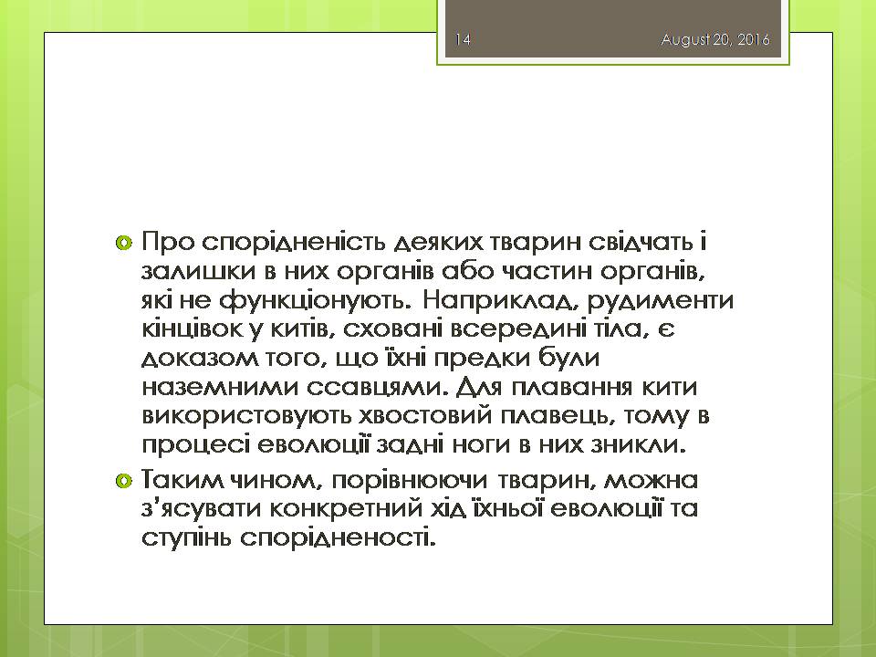Презентація на тему «Докази еволюції тваринного світу» - Слайд #14 Презентація на тему «Докази еволюції тваринного світу» - Слайд #14