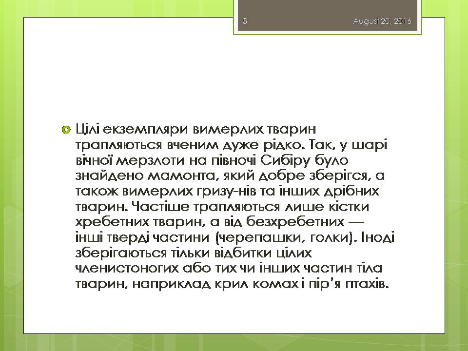 Презентація на тему «Докази еволюції тваринного світу» - Слайд #5 Презентація на тему «Докази еволюції тваринного світу» - Слайд #5