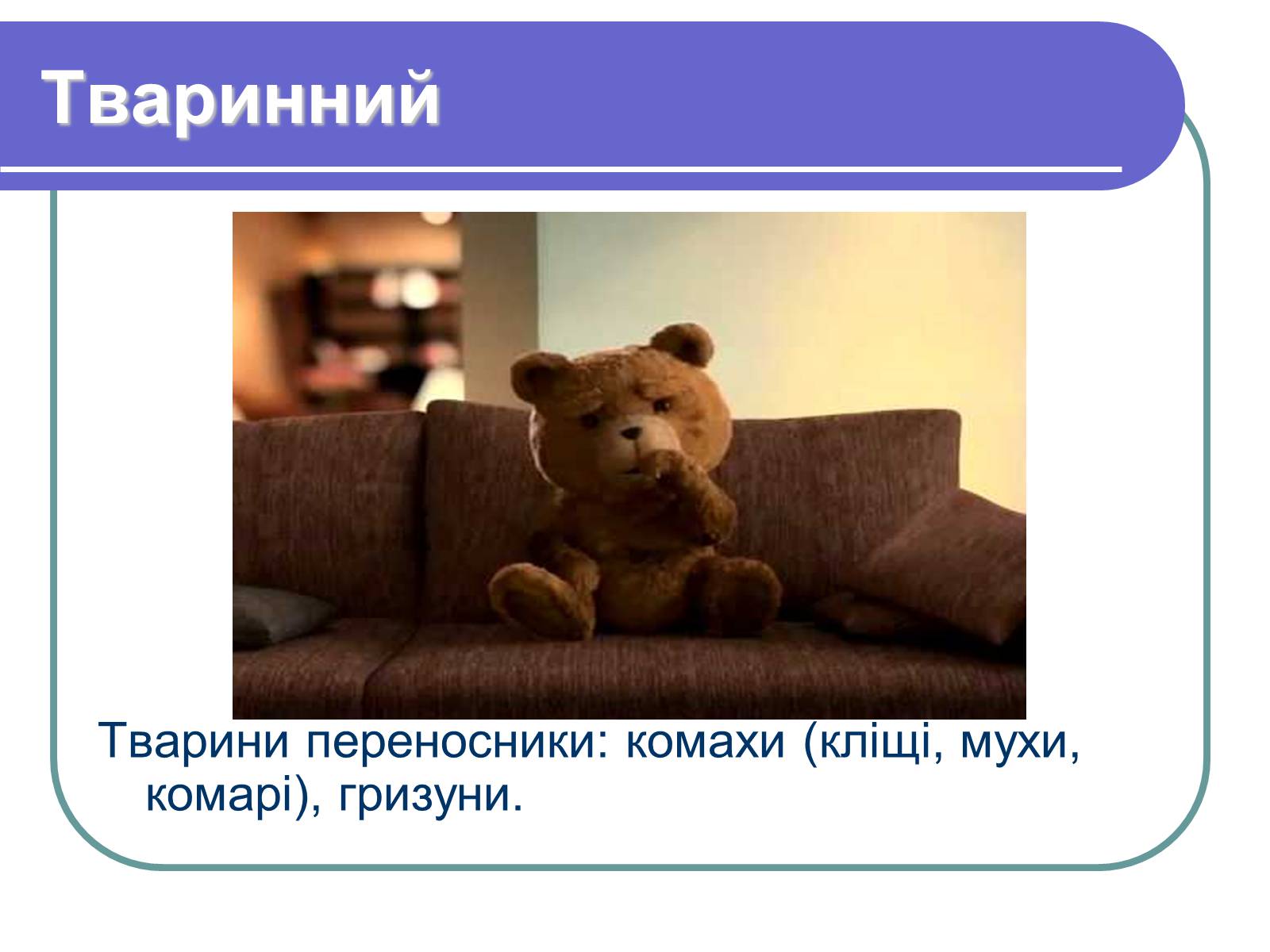 Презентація на тему «Профілактика бактеріологічних захворювань» - Слайд #11 Презентація на тему «Профілактика бактеріологічних захворювань» - Слайд #11