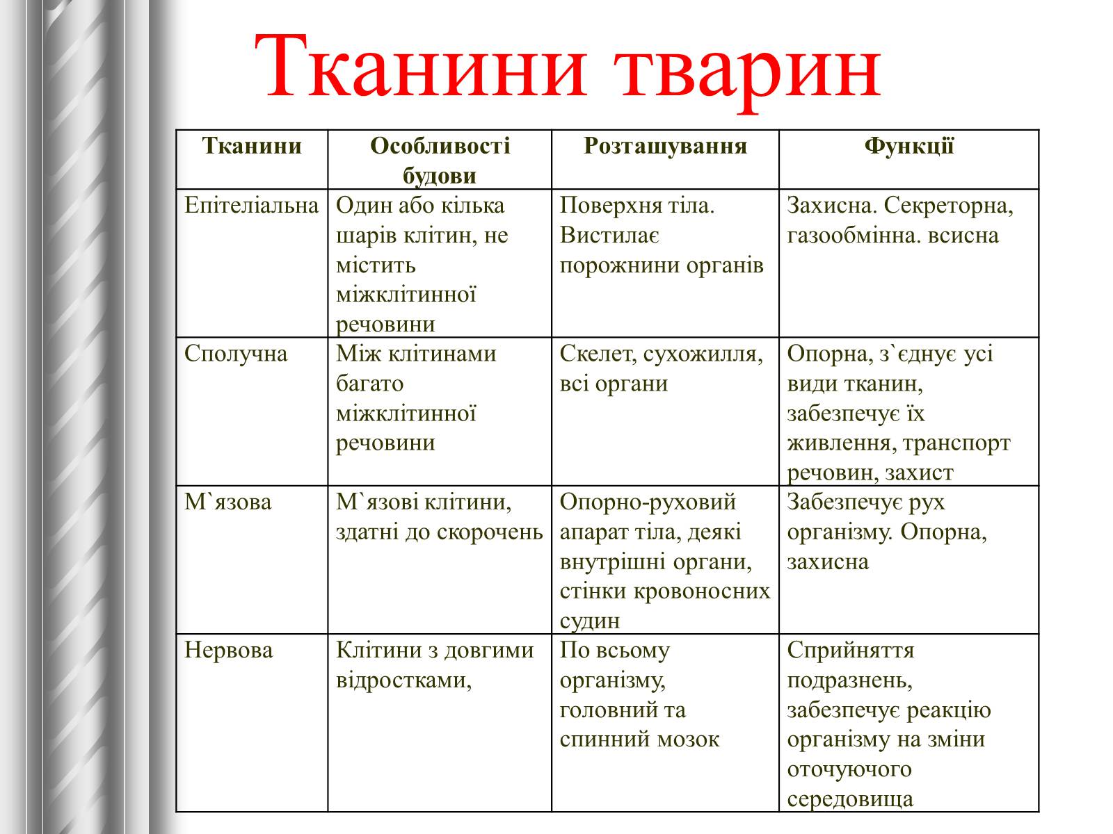 Презентація на тему «Тканини тварин» (варіант 1) - Слайд #28 Презентація на тему «Тканини тварин» (варіант 1) - Слайд #28