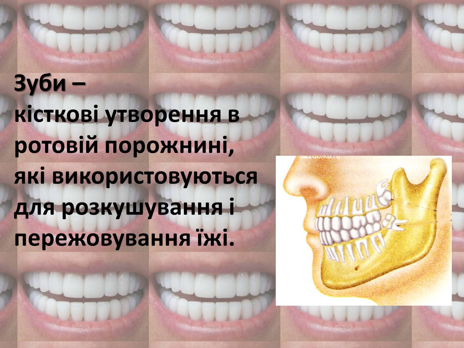 Презентація на тему «Зуби» (варіант 2) - Слайд #2 Презентація на тему «Зуби» (варіант 2) - Слайд #2