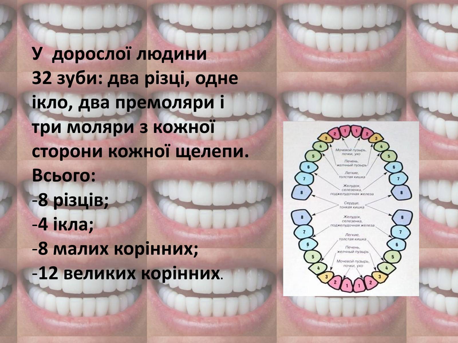 Презентація на тему «Зуби» (варіант 2) - Слайд #3 Презентація на тему «Зуби» (варіант 2) - Слайд #3