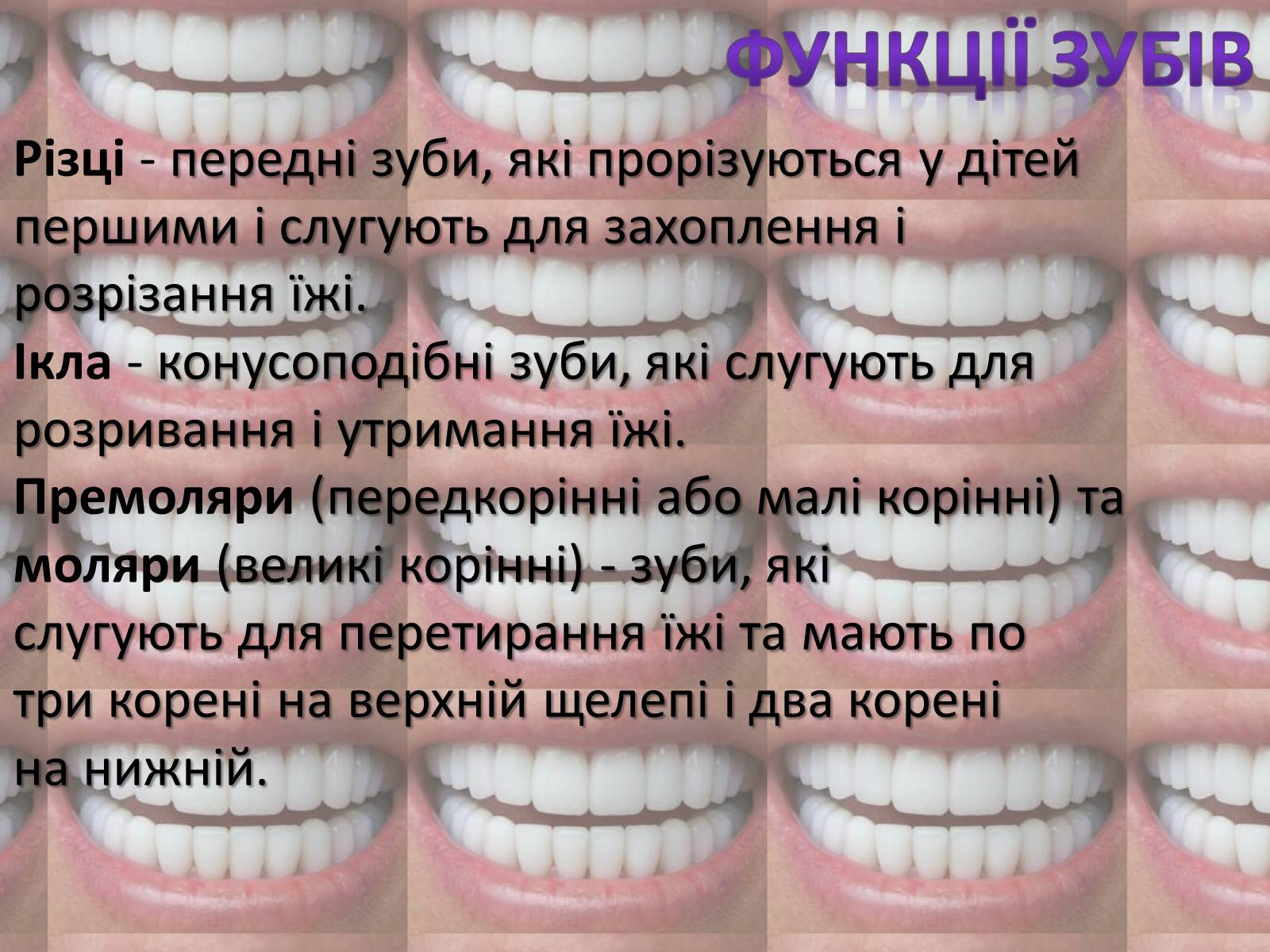 Презентація на тему «Зуби» (варіант 2) - Слайд #6 Презентація на тему «Зуби» (варіант 2) - Слайд #6