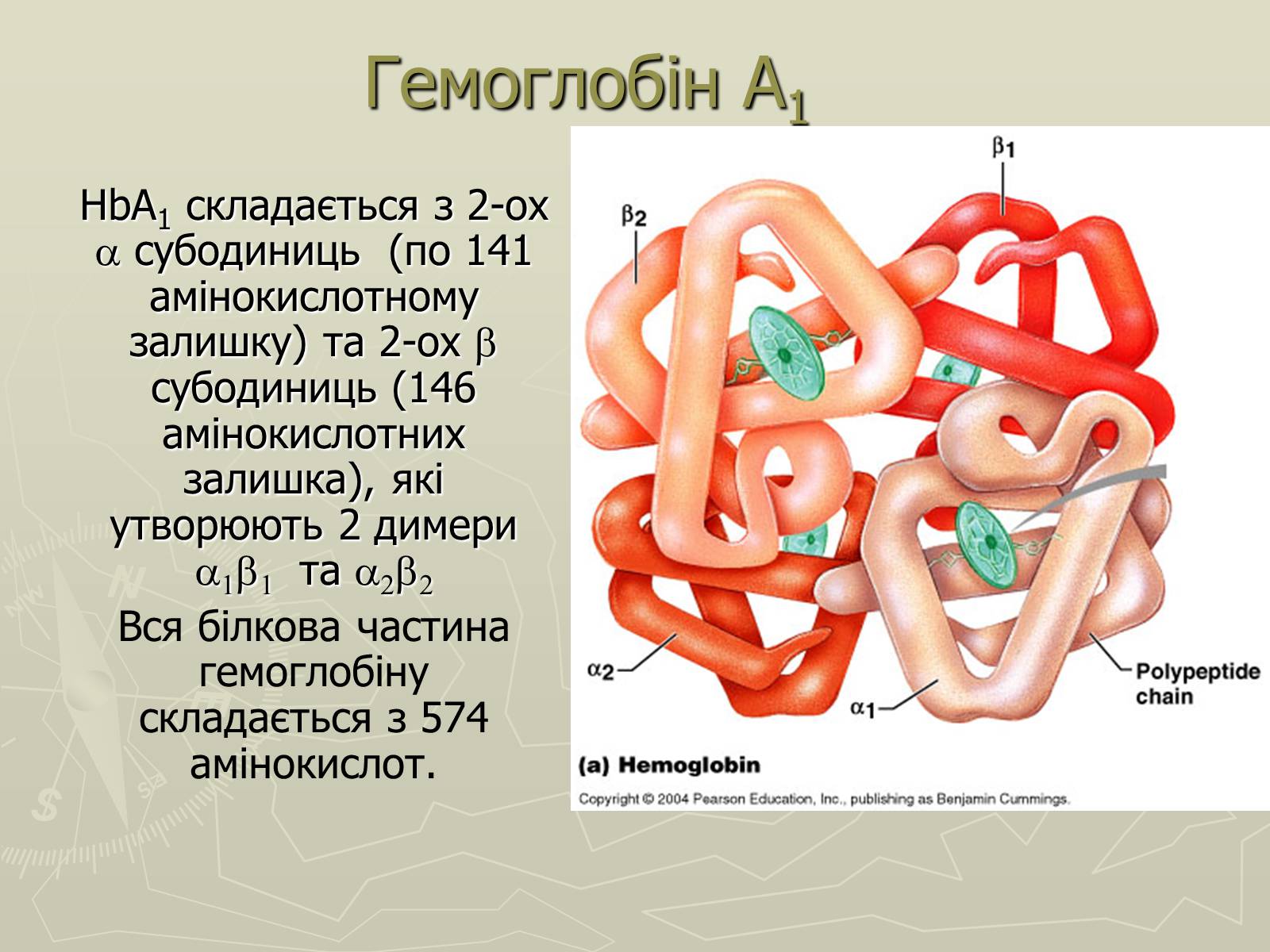 Презентація на тему «Біохімія крові» - Слайд #15 Презентація на тему «Біохімія крові» - Слайд #15