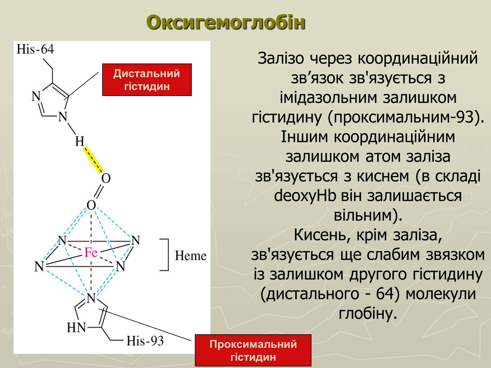 Презентація на тему «Біохімія крові» - Слайд #17 Презентація на тему «Біохімія крові» - Слайд #17