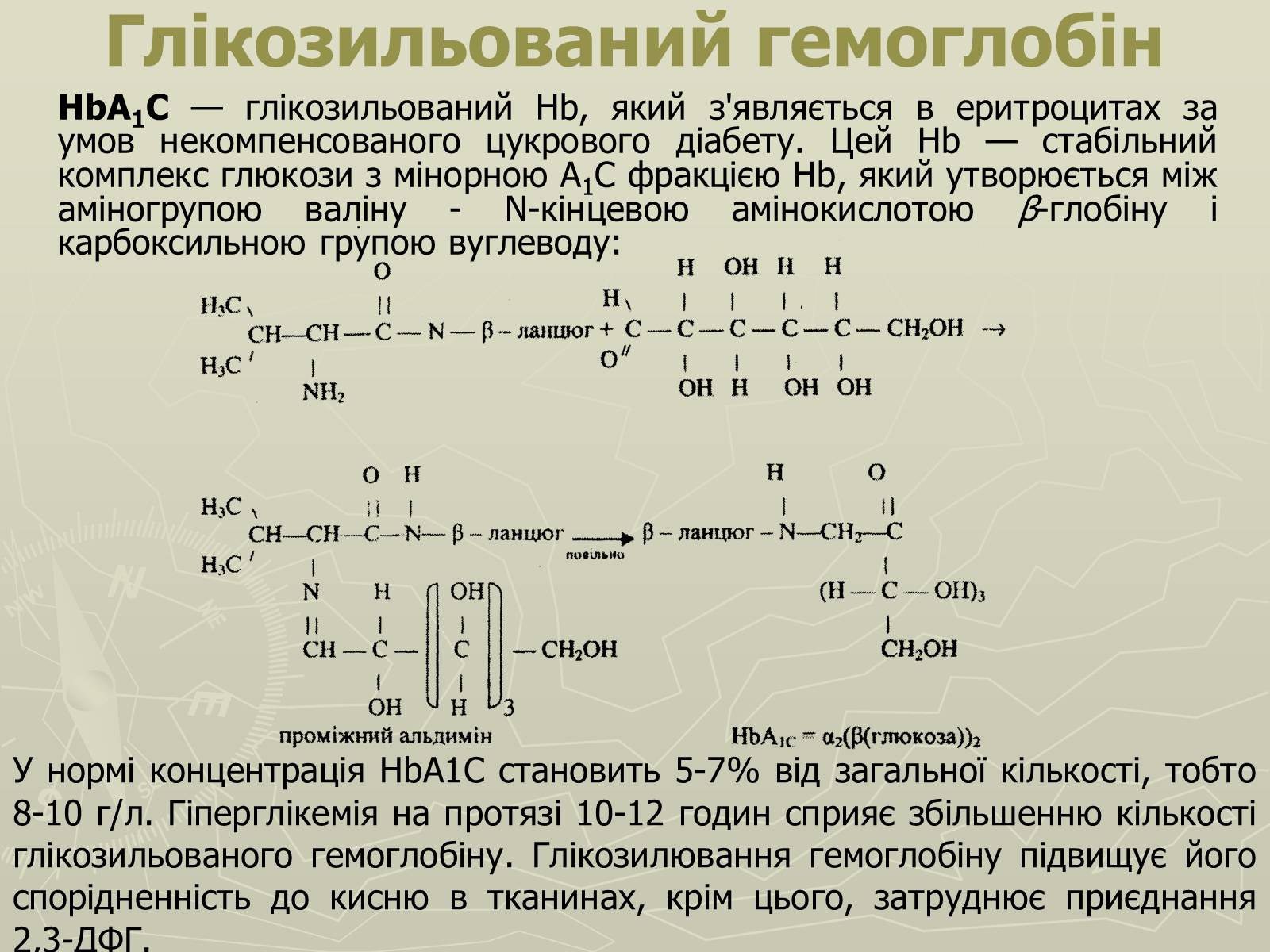 Презентація на тему «Біохімія крові» - Слайд #22 Презентація на тему «Біохімія крові» - Слайд #22