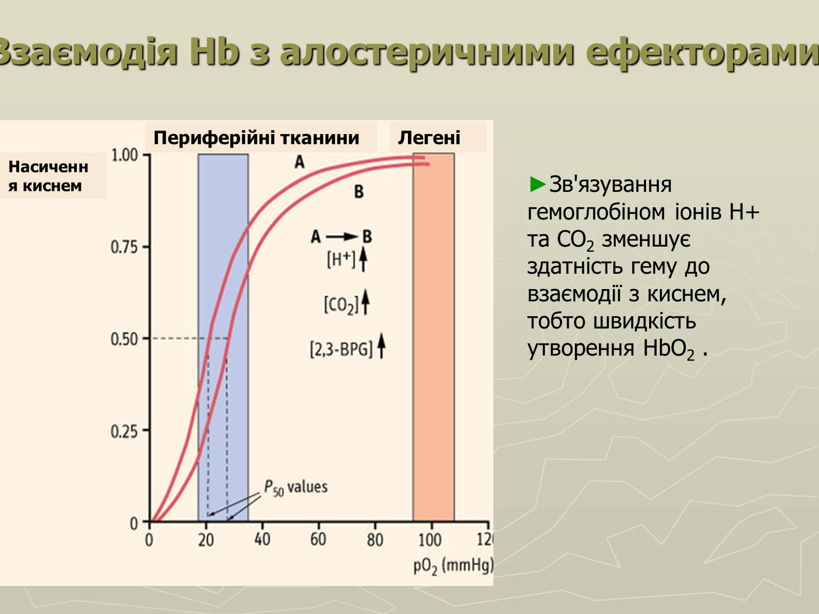 Презентація на тему «Біохімія крові» - Слайд #26 Презентація на тему «Біохімія крові» - Слайд #26