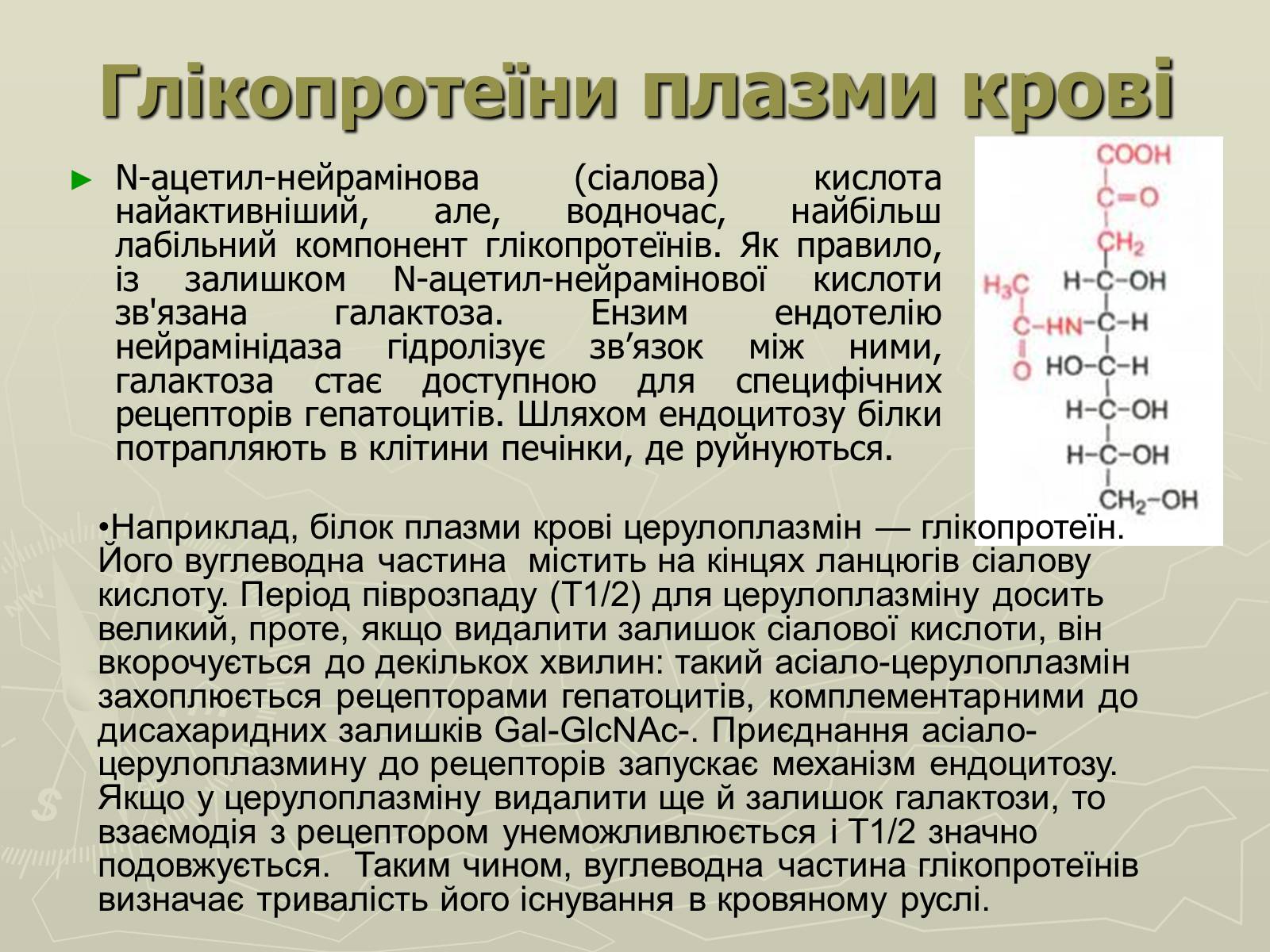 Презентація на тему «Біохімія крові» - Слайд #53 Презентація на тему «Біохімія крові» - Слайд #53
