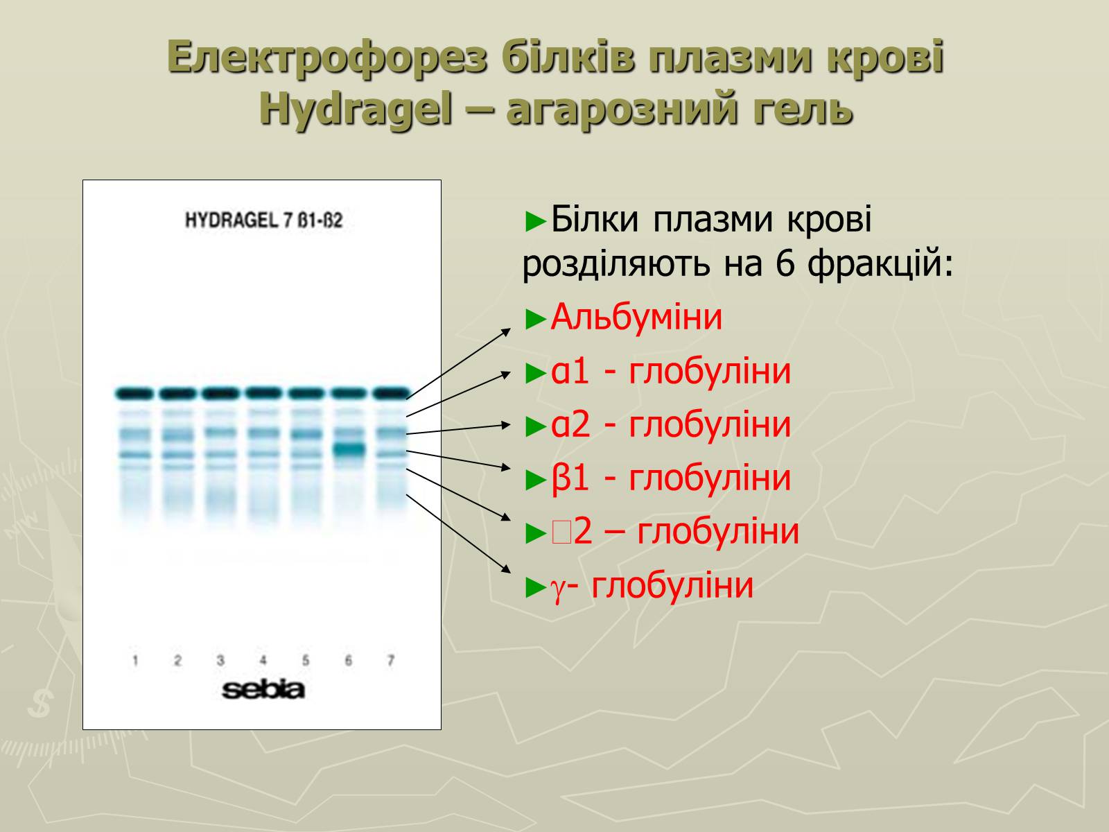 Презентація на тему «Біохімія крові» - Слайд #59 Презентація на тему «Біохімія крові» - Слайд #59