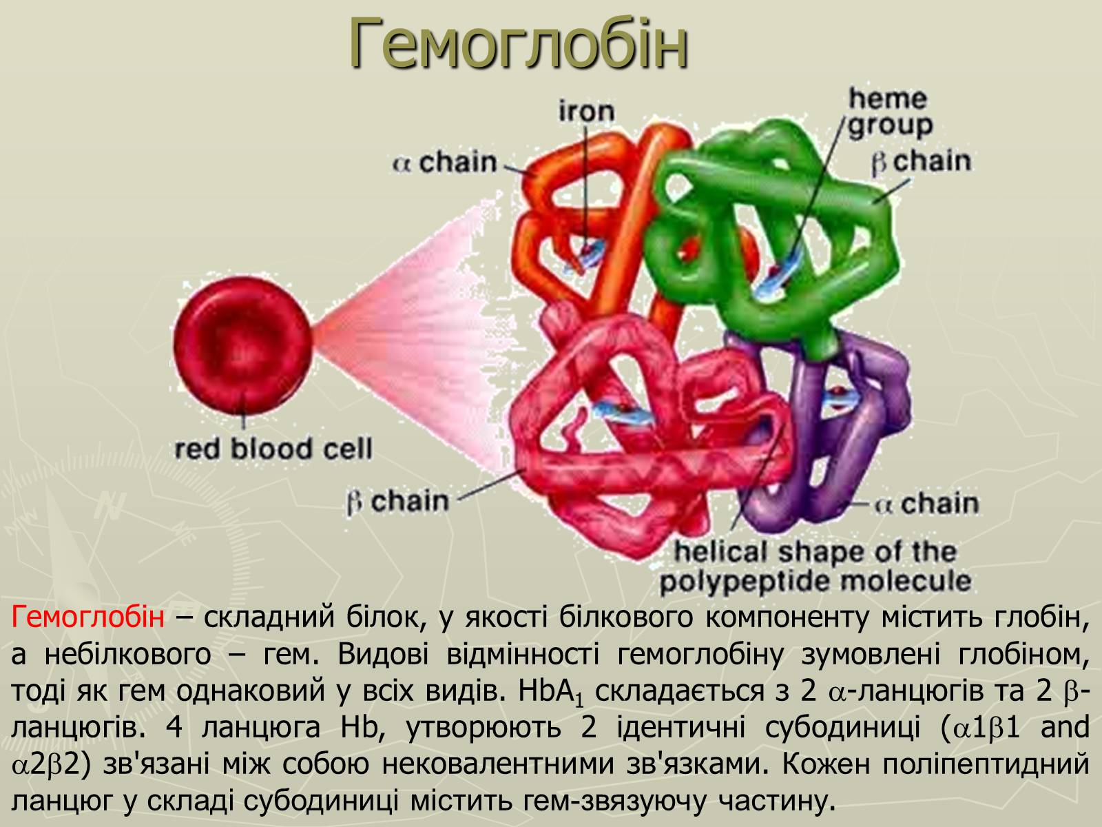 Презентація на тему «Біохімія крові» - Слайд #6 Презентація на тему «Біохімія крові» - Слайд #6