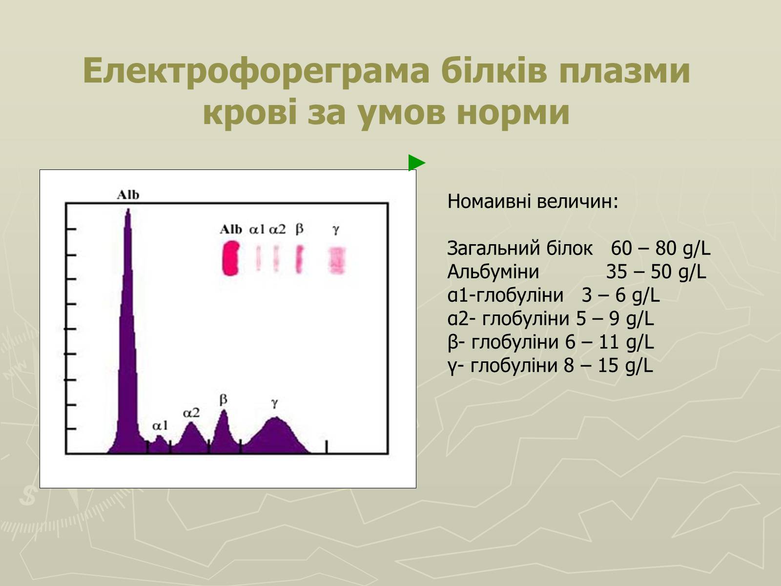 Презентація на тему «Біохімія крові» - Слайд #62 Презентація на тему «Біохімія крові» - Слайд #62
