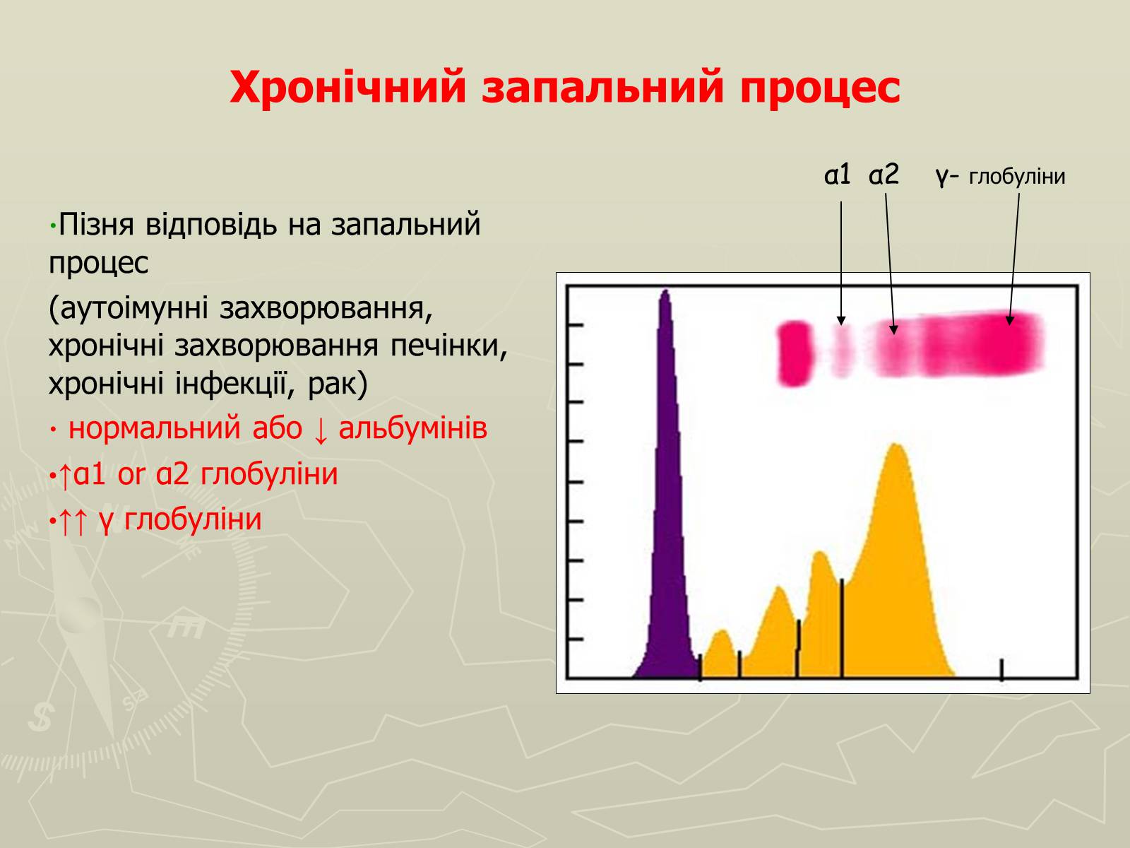 Презентація на тему «Біохімія крові» - Слайд #64 Презентація на тему «Біохімія крові» - Слайд #64