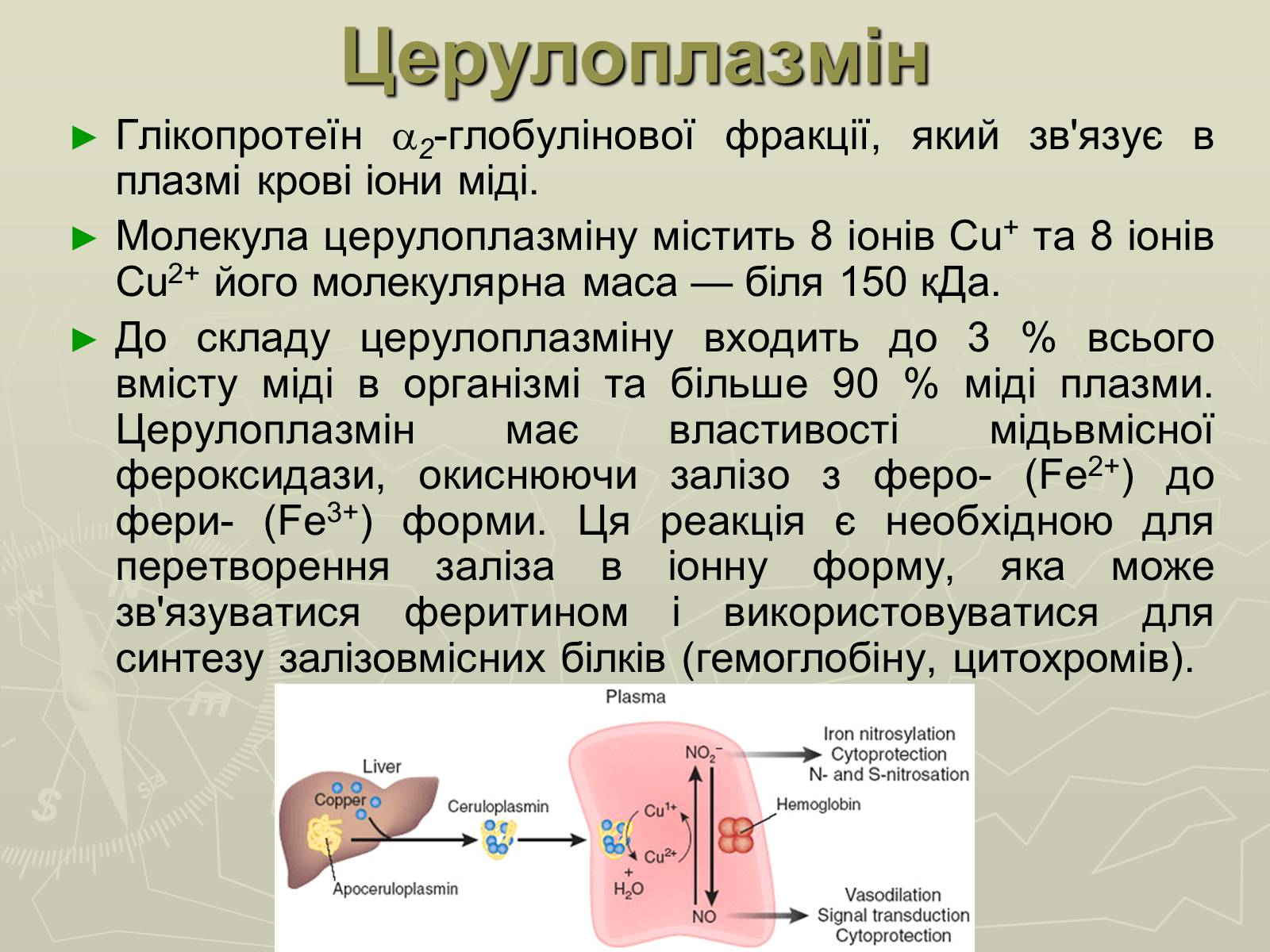 Презентація на тему «Біохімія крові» - Слайд #75 Презентація на тему «Біохімія крові» - Слайд #75