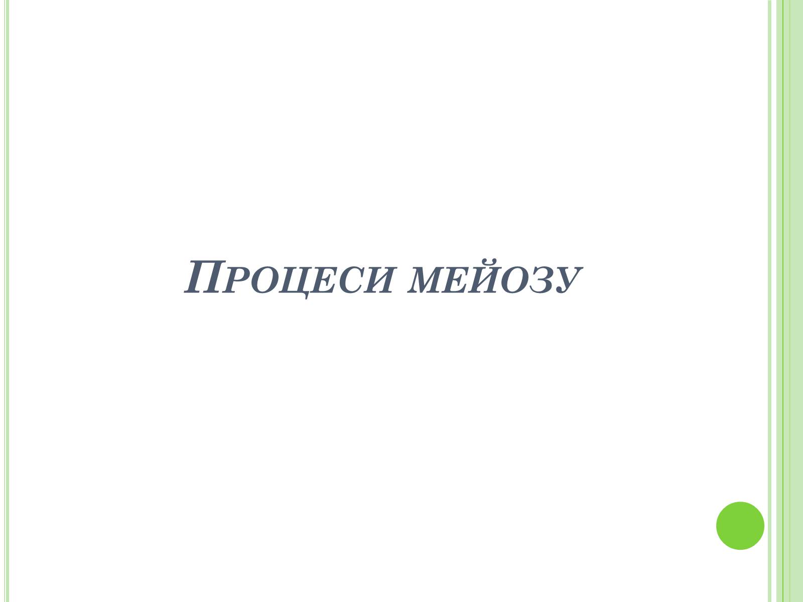 Презентація на тему «Мейоз» (варіант 3) - Слайд #6 Презентація на тему «Мейоз» (варіант 3) - Слайд #6