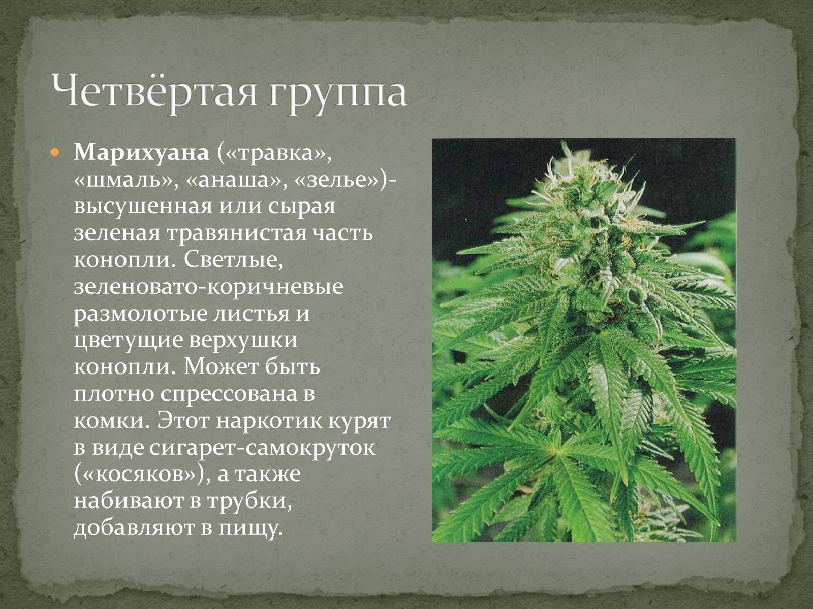 Презентація на тему «Наркотики» (варіант 2) - Слайд #14 Презентація на тему «Наркотики» (варіант 2) - Слайд #14