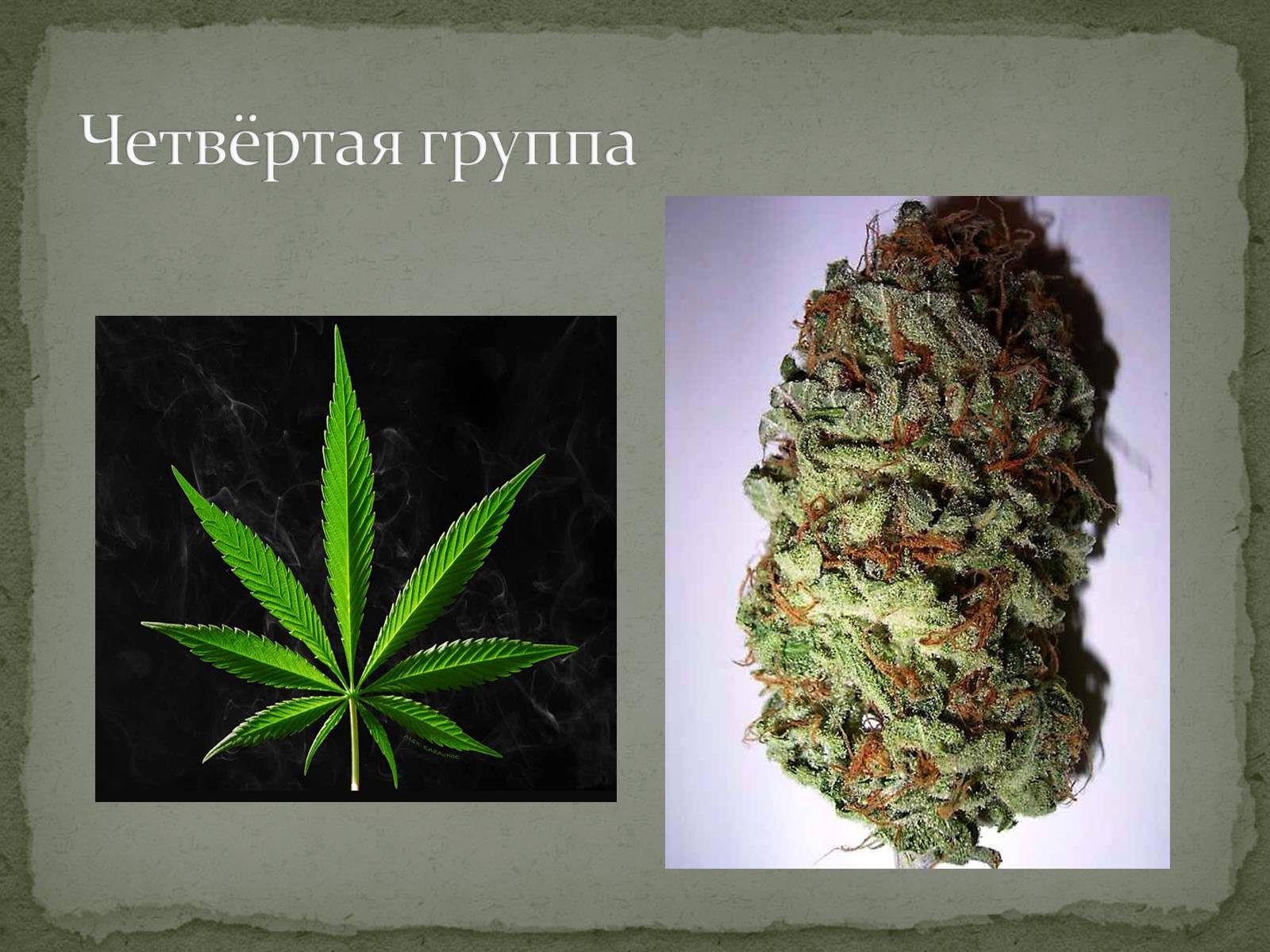 Презентація на тему «Наркотики» (варіант 2) - Слайд #15 Презентація на тему «Наркотики» (варіант 2) - Слайд #15