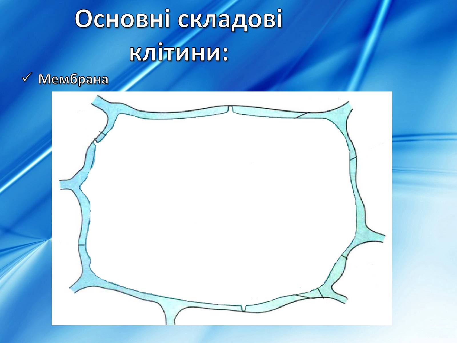 Презентація на тему «Клітини» (варіант 2) - Слайд #7 Презентація на тему «Клітини» (варіант 2) - Слайд #7