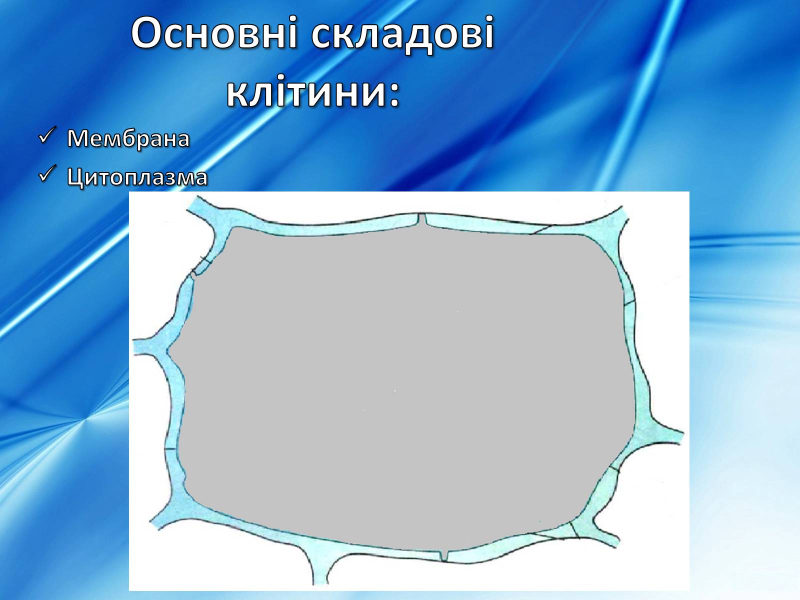 Презентація на тему «Клітини» (варіант 2) - Слайд #9 Презентація на тему «Клітини» (варіант 2) - Слайд #9