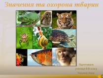 Презентація на тему «Значення та охорона тварин»