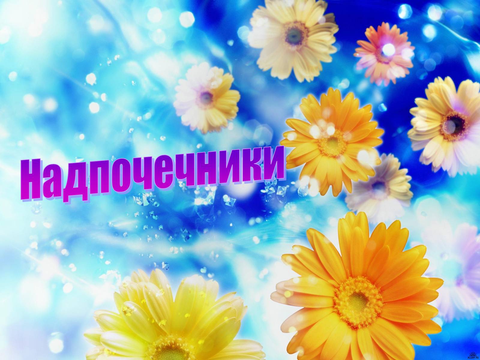 Презентація на тему «Надпочечники» - Слайд #1 Презентація на тему «Надпочечники» - Слайд #1