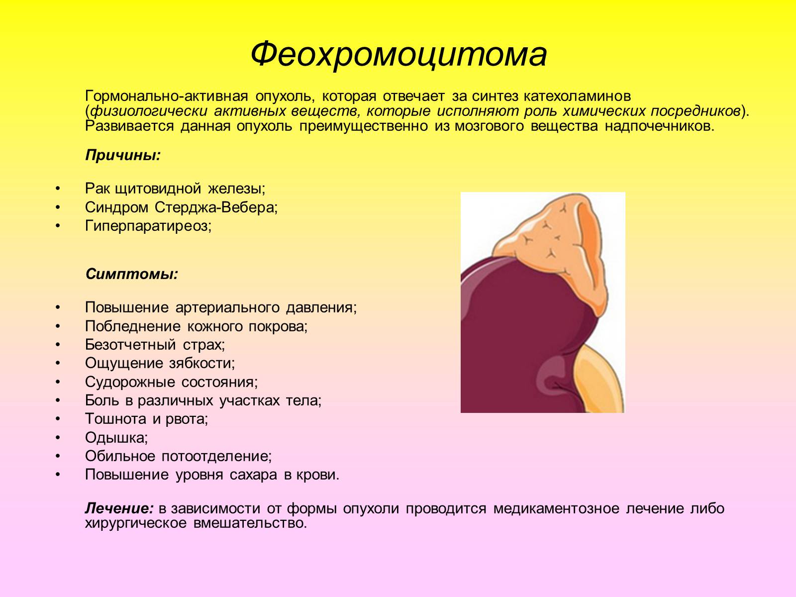 Презентація на тему «Надпочечники» - Слайд #20 Презентація на тему «Надпочечники» - Слайд #20