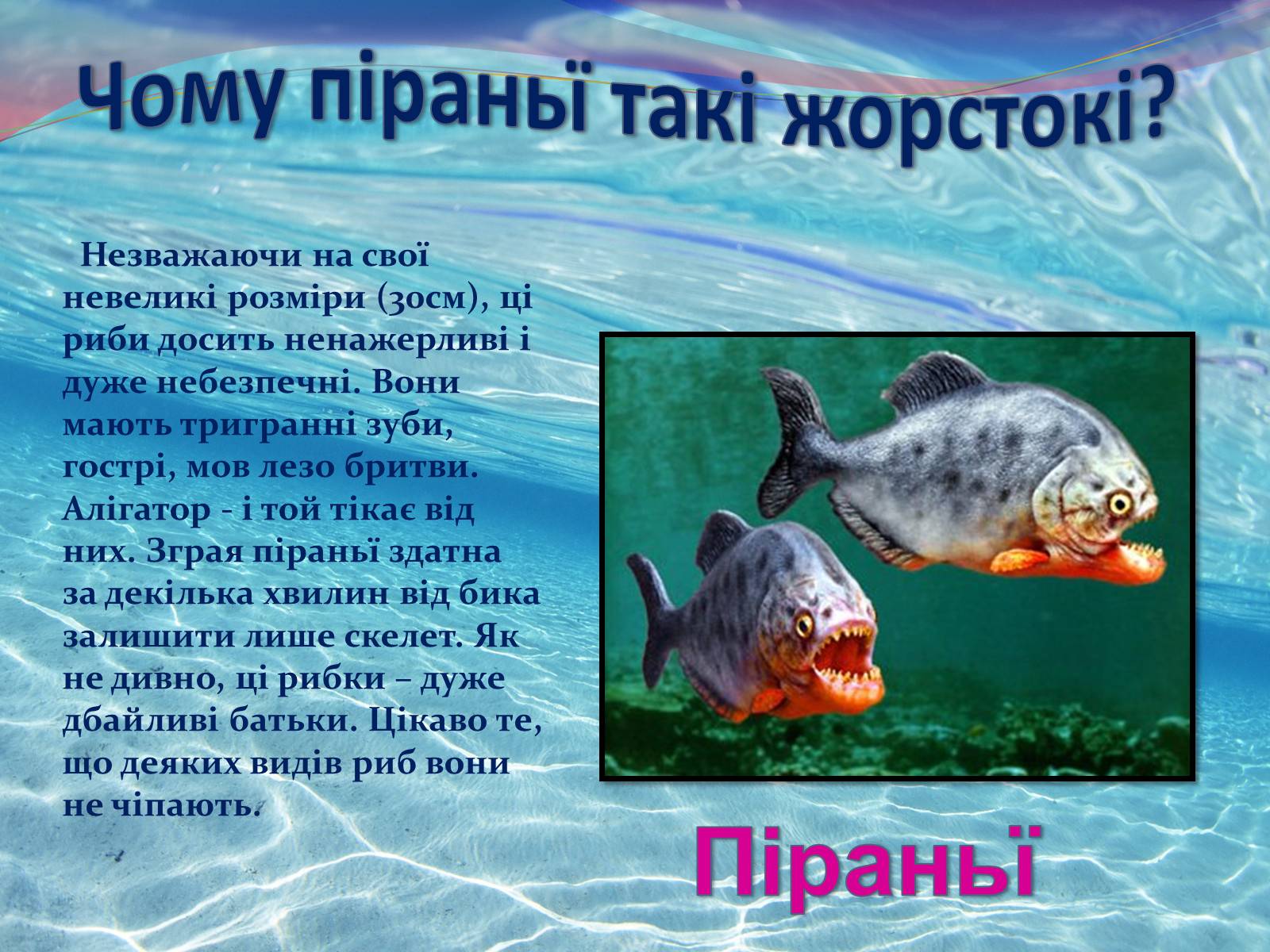 Презентація на тему «Цікаво про риб» - Слайд #13 Презентація на тему «Цікаво про риб» - Слайд #13