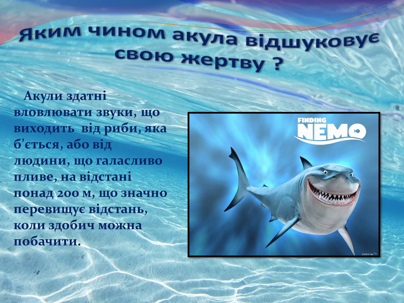 Презентація на тему «Цікаво про риб» - Слайд #14 Презентація на тему «Цікаво про риб» - Слайд #14