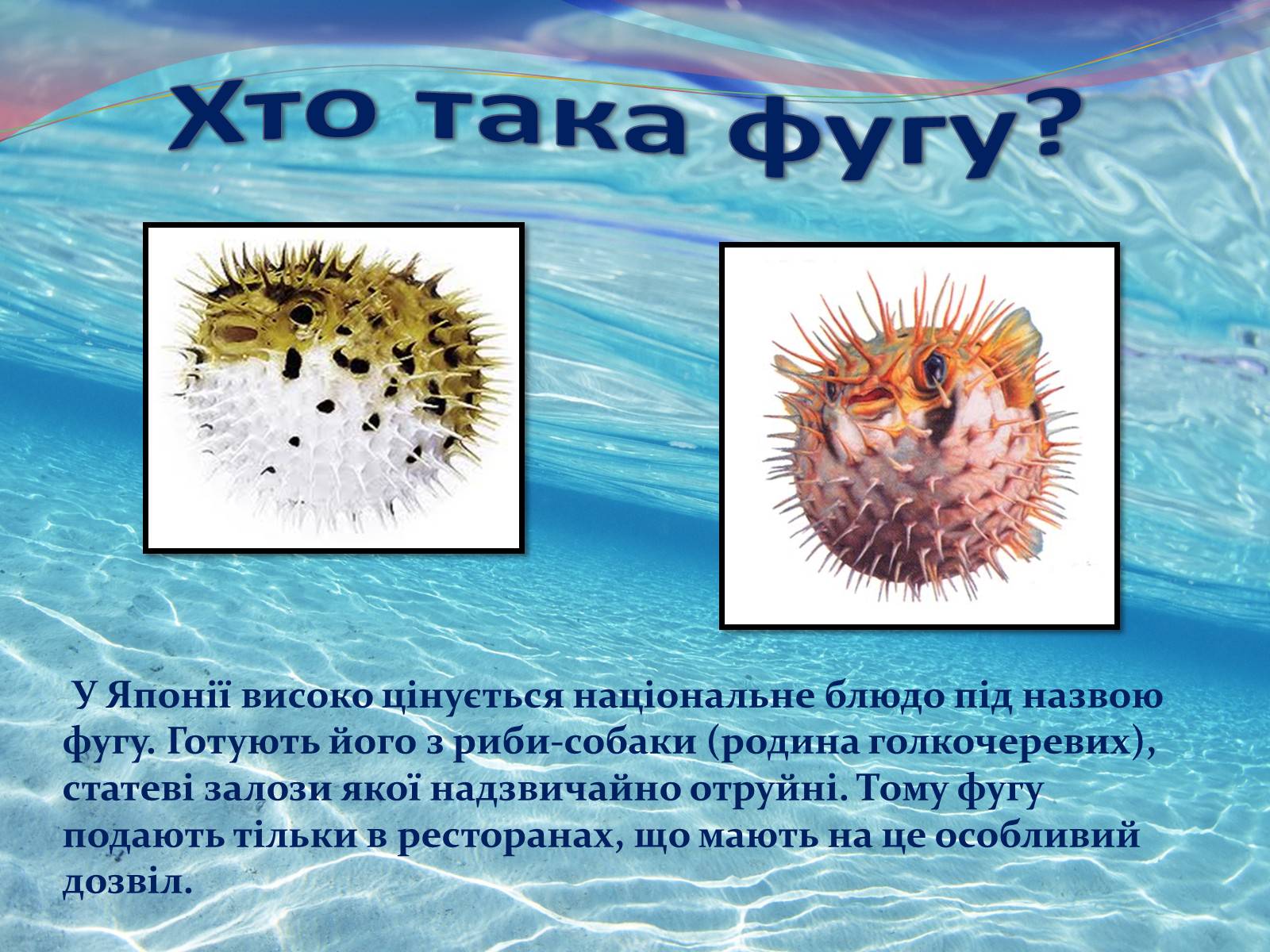 Презентація на тему «Цікаво про риб» - Слайд #15 Презентація на тему «Цікаво про риб» - Слайд #15