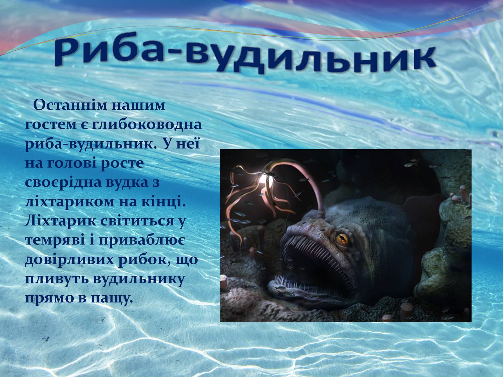 Презентація на тему «Цікаво про риб» - Слайд #17 Презентація на тему «Цікаво про риб» - Слайд #17