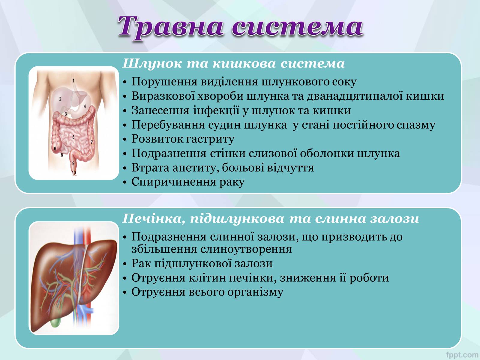 Презентація на тему «Шкідливий вплив тютюнопаління на організм людини» - Слайд #9 Презентація на тему «Шкідливий вплив тютюнопаління на організм людини» - Слайд #9