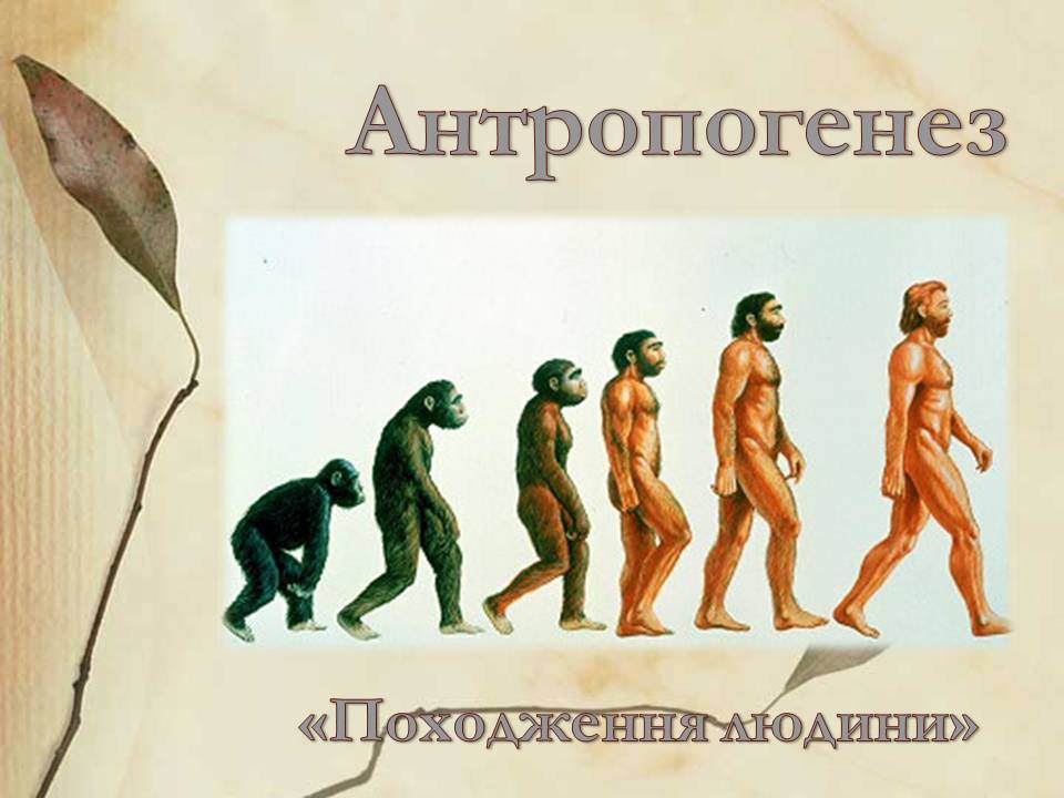Презентація на тему «Антропогенез» (варіант 3) - Слайд #1 Презентація на тему «Антропогенез» (варіант 3) - Слайд #1