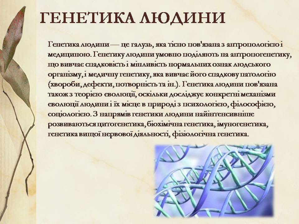 Презентація на тему «Антропогенез» (варіант 3) - Слайд #19 Презентація на тему «Антропогенез» (варіант 3) - Слайд #19