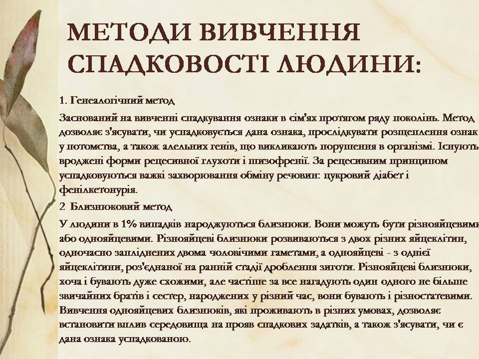 Презентація на тему «Антропогенез» (варіант 3) - Слайд #20 Презентація на тему «Антропогенез» (варіант 3) - Слайд #20