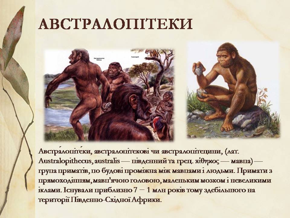 Презентація на тему «Антропогенез» (варіант 3) - Слайд #4 Презентація на тему «Антропогенез» (варіант 3) - Слайд #4