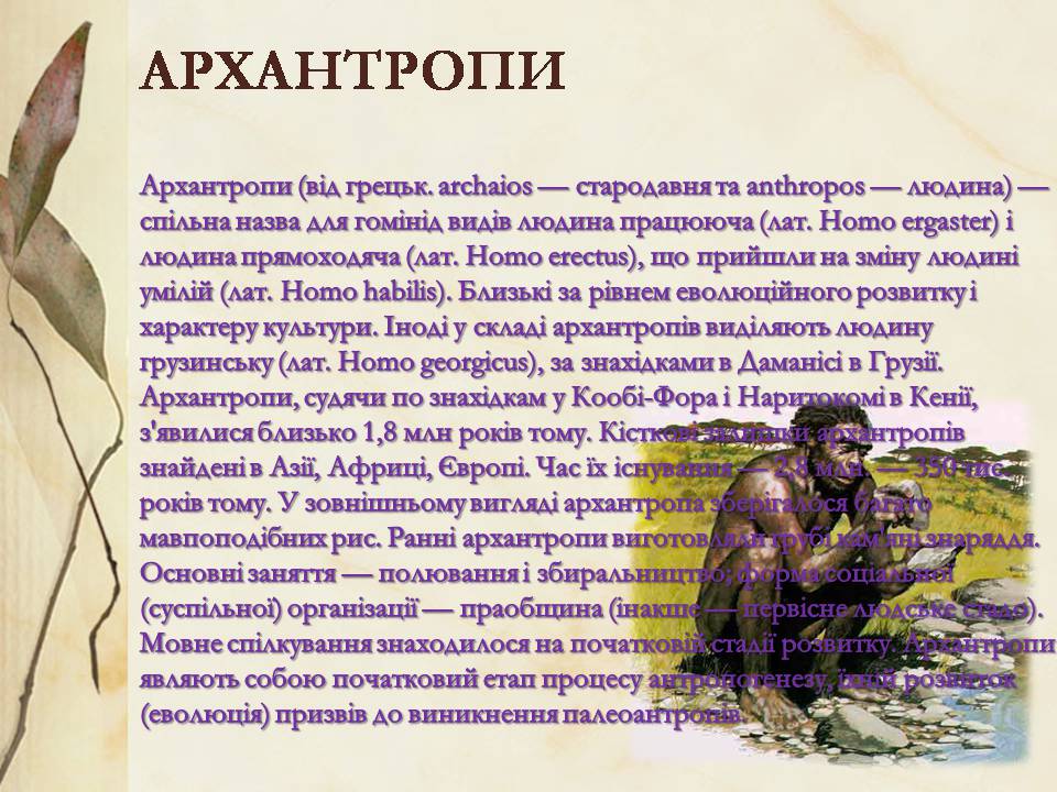 Презентація на тему «Антропогенез» (варіант 3) - Слайд #6 Презентація на тему «Антропогенез» (варіант 3) - Слайд #6