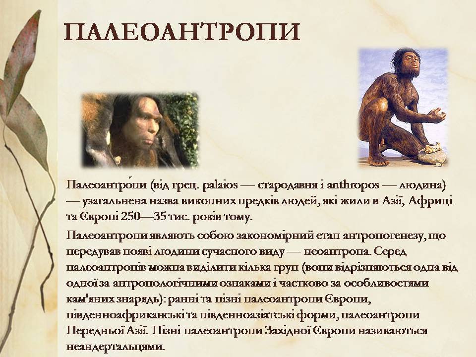 Презентація на тему «Антропогенез» (варіант 3) - Слайд #7 Презентація на тему «Антропогенез» (варіант 3) - Слайд #7