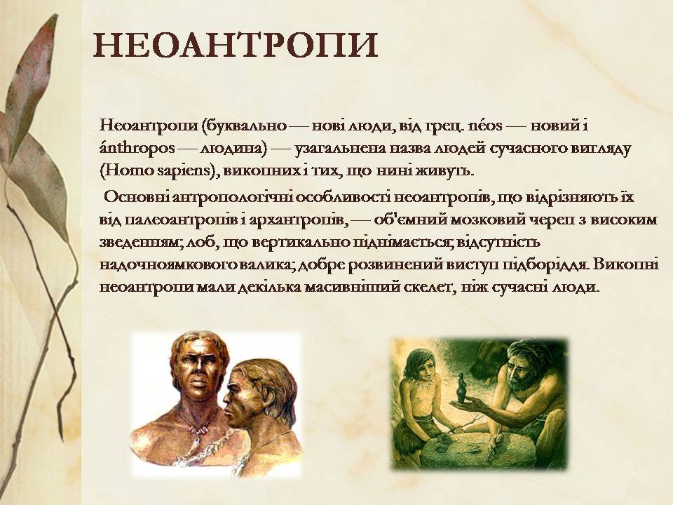 Презентація на тему «Антропогенез» (варіант 3) - Слайд #8 Презентація на тему «Антропогенез» (варіант 3) - Слайд #8