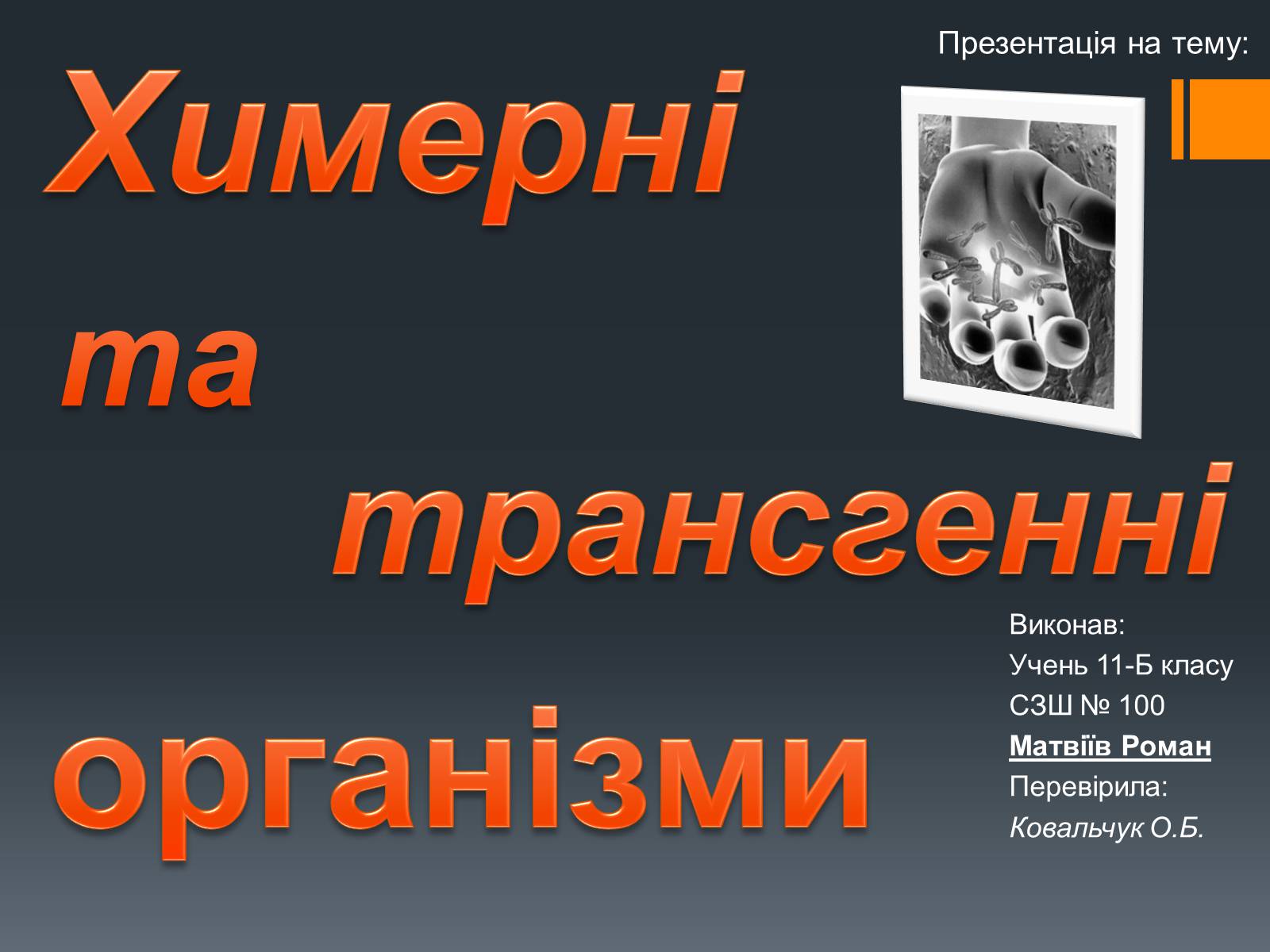Презентація на тему «Химерні та трансгенні організми» (варіант 2) - Слайд #1 Презентація на тему «Химерні та трансгенні організми» (варіант 2) - Слайд #1