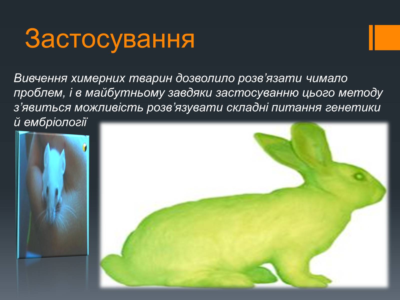 Презентація на тему «Химерні та трансгенні організми» (варіант 2) - Слайд #6 Презентація на тему «Химерні та трансгенні організми» (варіант 2) - Слайд #6