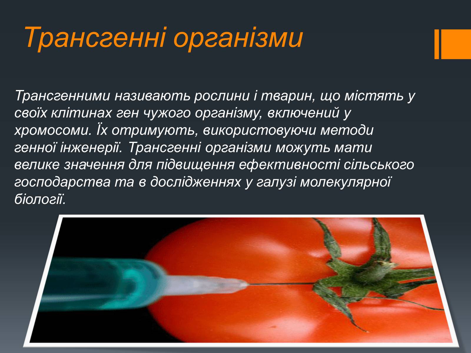 Презентація на тему «Химерні та трансгенні організми» (варіант 2) - Слайд #7 Презентація на тему «Химерні та трансгенні організми» (варіант 2) - Слайд #7