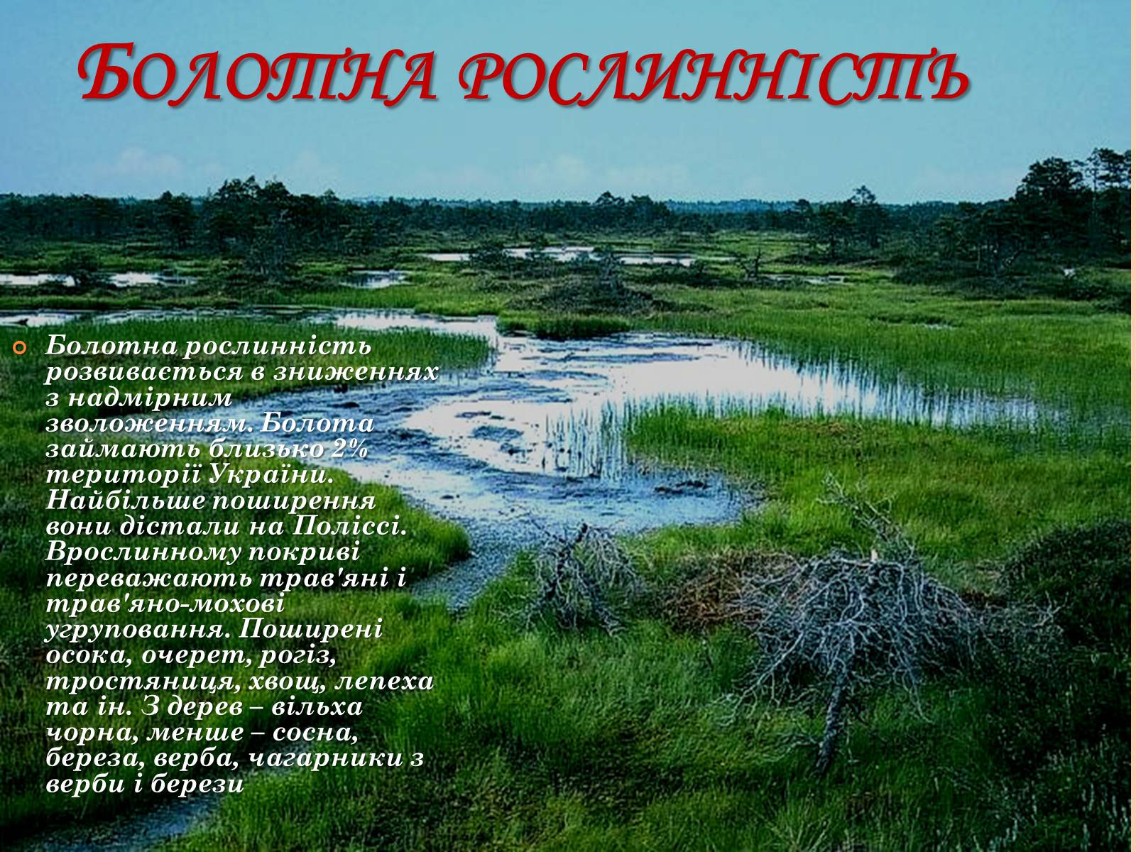 Презентація на тему «Рослинний покрив України» (варіант 2) - Слайд #31 Презентація на тему «Рослинний покрив України» (варіант 2) - Слайд #31