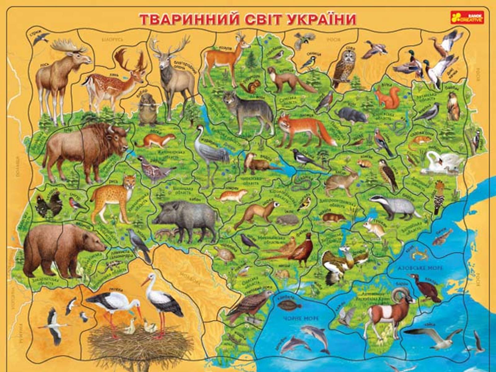 Презентація на тему «Рослинний покрив України» (варіант 2) - Слайд #34 Презентація на тему «Рослинний покрив України» (варіант 2) - Слайд #34