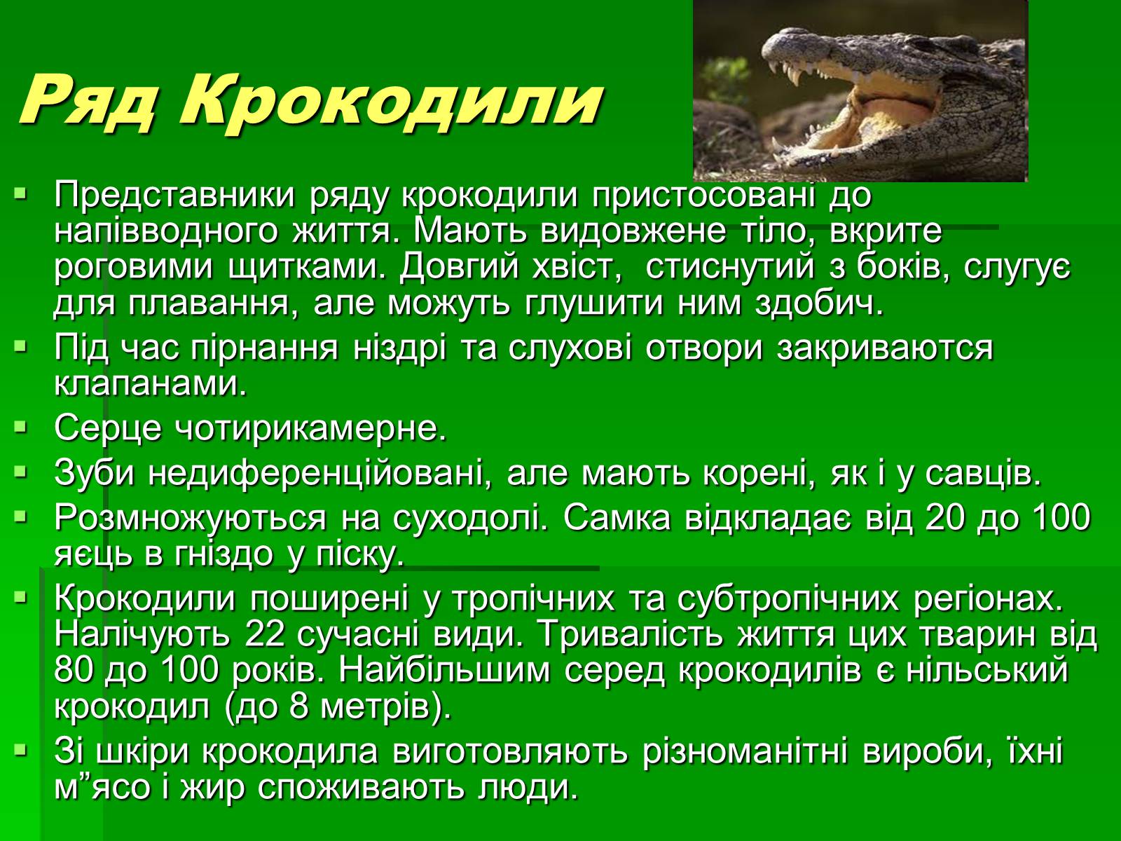 Презентація на тему «Тип Хордові. Плазуни» - Слайд #15 Презентація на тему «Тип Хордові. Плазуни» - Слайд #15