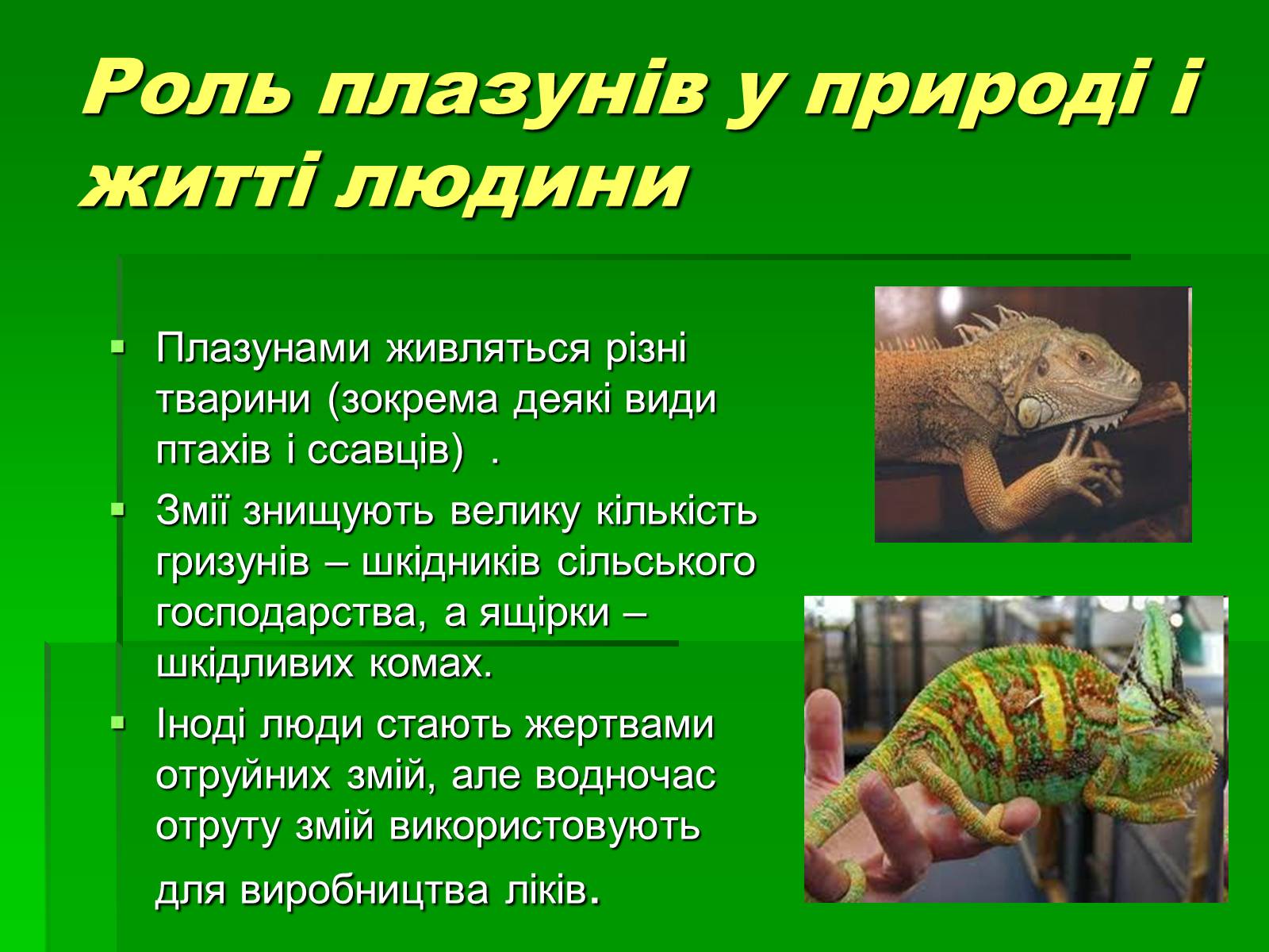Презентація на тему «Тип Хордові. Плазуни» - Слайд #16 Презентація на тему «Тип Хордові. Плазуни» - Слайд #16