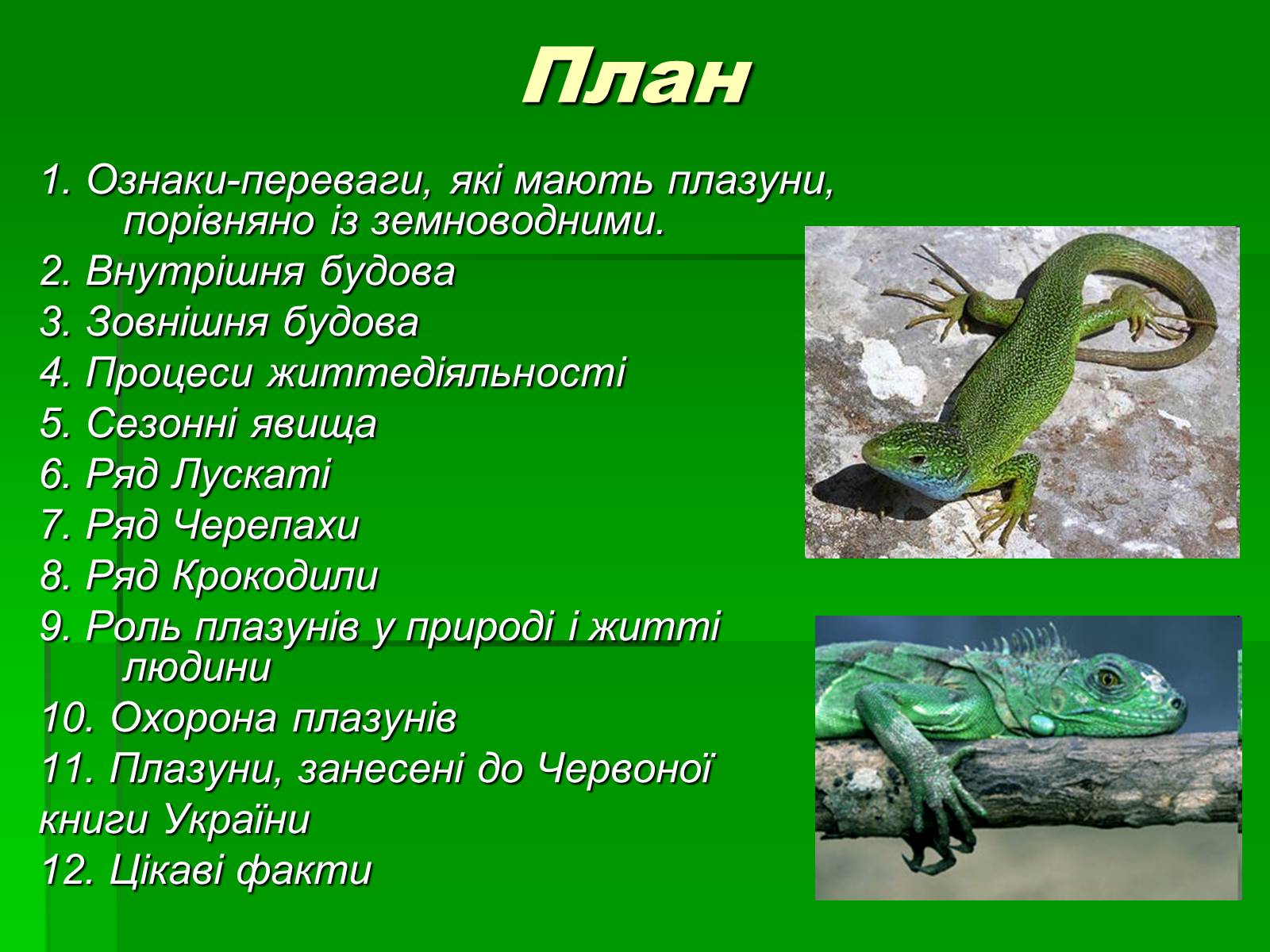 Презентація на тему «Тип Хордові. Плазуни» - Слайд #2 Презентація на тему «Тип Хордові. Плазуни» - Слайд #2