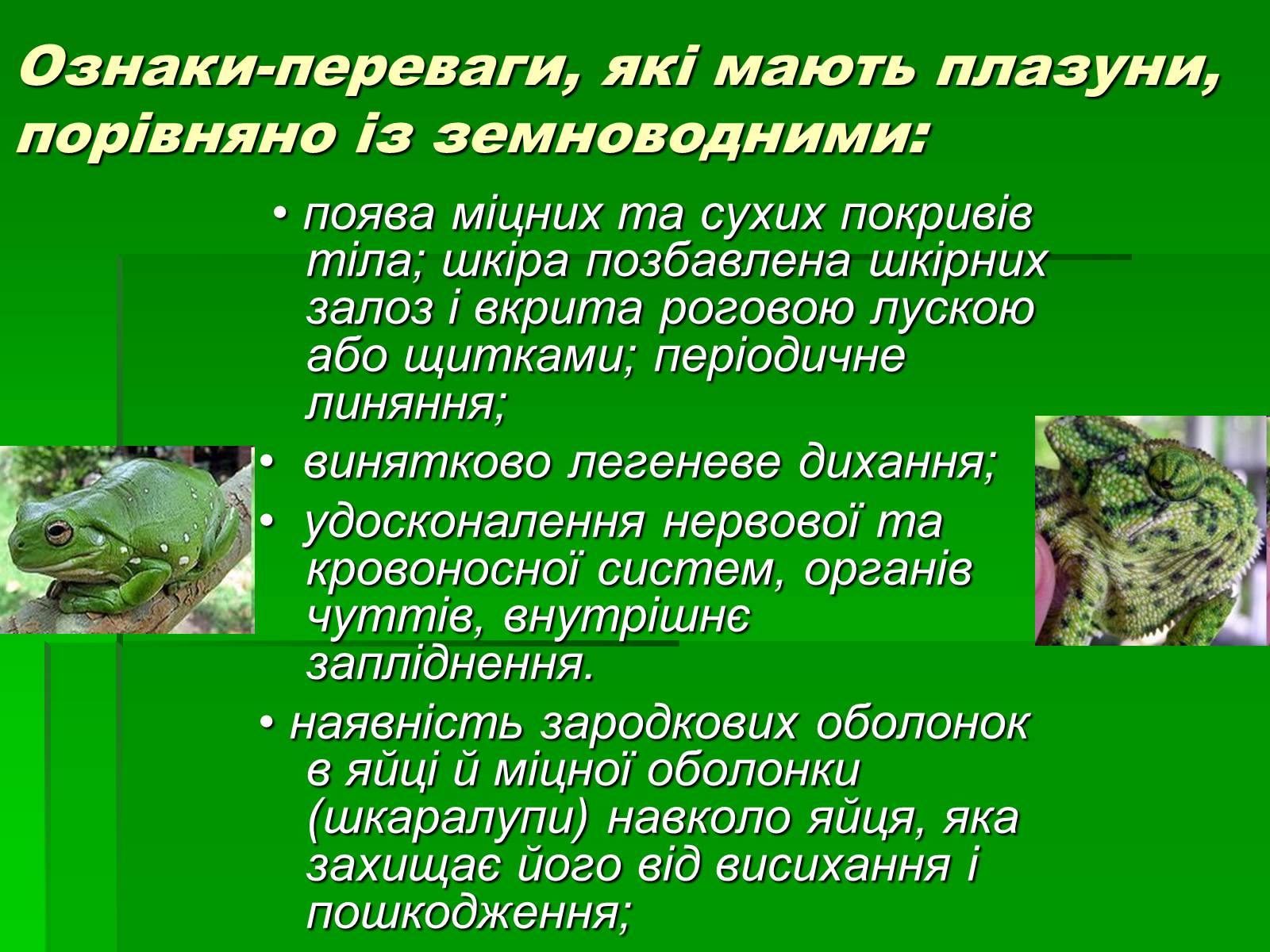 Презентація на тему «Тип Хордові. Плазуни» - Слайд #3 Презентація на тему «Тип Хордові. Плазуни» - Слайд #3
