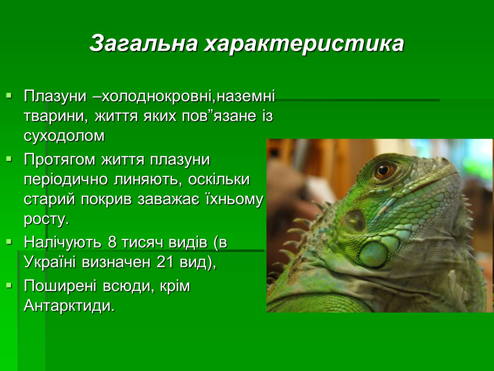 Презентація на тему «Тип Хордові. Плазуни» - Слайд #4 Презентація на тему «Тип Хордові. Плазуни» - Слайд #4